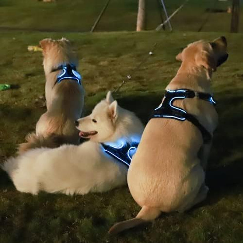 Light up Dog Harness There Are 3 Light Modes with Control Handle and Reflective Strap