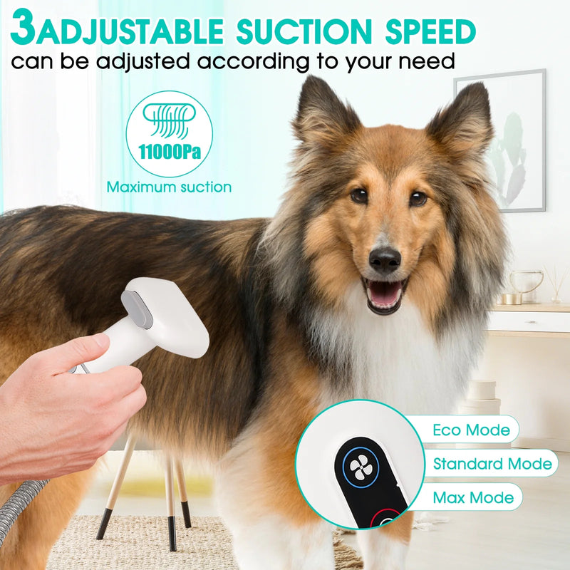 11Kpa Low Noise Pet Groomer Vacuum Suction with 3 Suction Mode