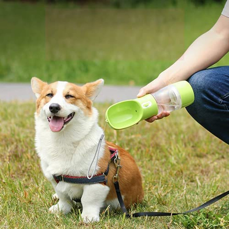 Portable Dog Water Bottle for Walking