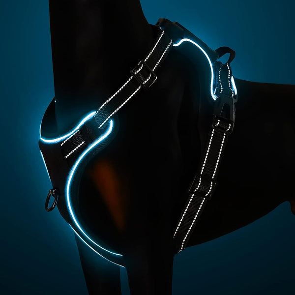 Light up Dog Harness There Are 3 Light Modes with Control Handle and Reflective Strap